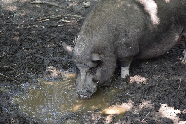 个足球社区 个足球社区