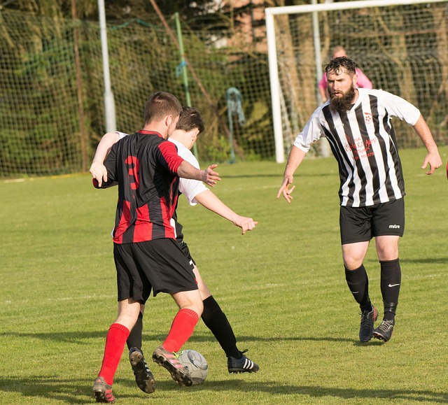 或许它在提 或许它在提