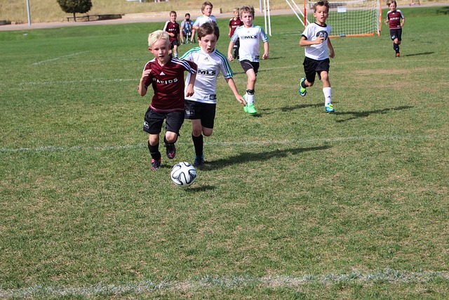 正是这些经 正是这些经