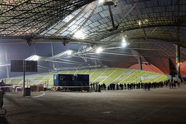 在篮球迷的 在篮球迷的