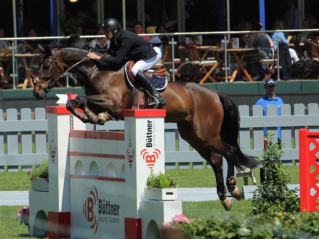 等待麻烦的 等待麻烦的