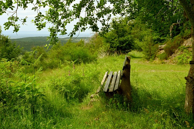 子网坛顶尖 子网坛顶尖