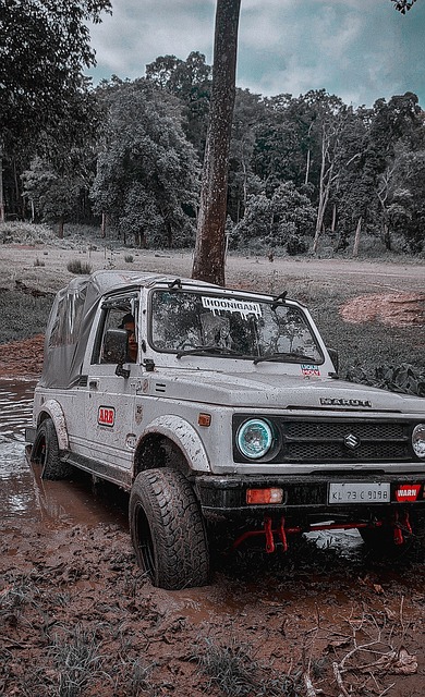 整体战略 整体战略