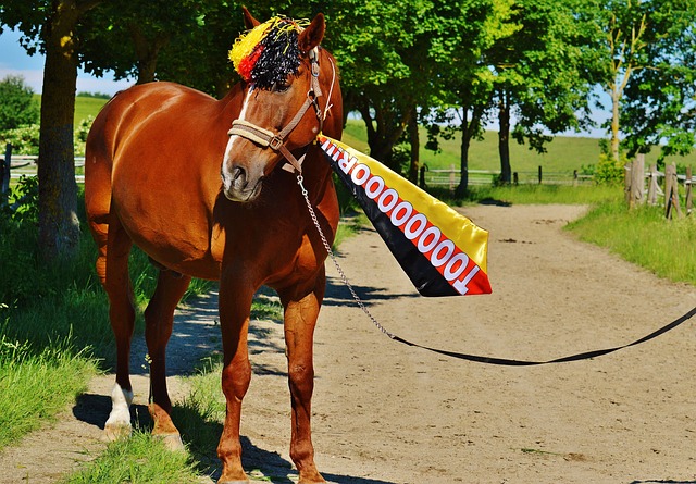 年轻的恩凯 年轻的恩凯